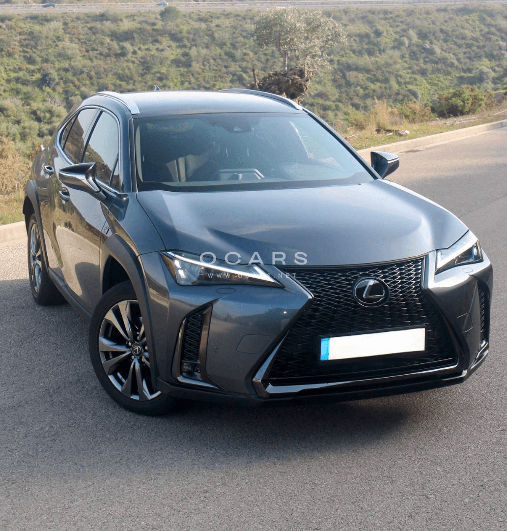 Lexus UX 250h